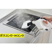 ケルヒャー スチームクリーナー SC MINI 1.516-339.0 1台 KARCHER