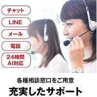 バッファロー　スイッチングハブ（LANハブ）ギガビット　5ポート/金属/電源内蔵　LSW6-GT-5NS/WH　1台（直送品）