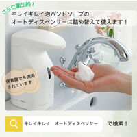 ライオン キレイキレイ 薬用泡ハンドソープ フルーツミックスの香り 詰め替え 業務用2L 1個 【泡タイプ】（直送品）