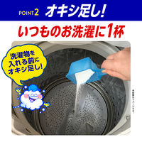 オキシクリーンEX 詰め替え 2000g  粉末 酸素系漂白剤 1個 大容量 消臭 漂白 洗濯 掃除