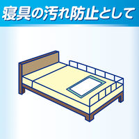 【新パッケージのお届け】アスクル×エルモアいちばん　フラットタイプ　フラットシート　オムツ　フラット300ml 1パック オリジナル