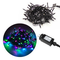 タカショー ローボルト LEDストレート 100球 大人マルチ LGT-100AM 1個