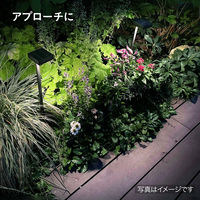 タカショー ひかりノベーション SC 花のひかり LGS-LH02P 1箱(2個入)（直送品）