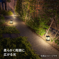 タカショー ひかりノベーション SC 道のひかり LGS-LH01P 1箱(2個入)（直送品）