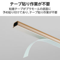 配線カバー 壁用 モール ( 長さ1m × 幅16mm ) フラット ブラウン LD-GAF1MBR エレコム 1個（直送品）
