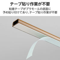 配線カバー 壁用 モール ( 長さ1m × 幅21mm ) フラット ブラウン LD-GAF2MBR エレコム 1個（直送品）