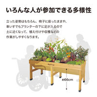 タカショー ホームベジトラグ S VGT-01F 1台（直送品）