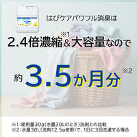 LION 介護 はぴケア パワフル消臭 業務用 洗濯洗剤 濃縮 液体 詰め替え 4.3kg 1個+専用空ボトル 1個 ライオン
