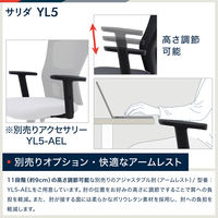 イトーキ サリダチェア（Salida） オフィスチェア メッシュ張り 可動肘付 ブラック YL5-BL 1脚（2梱包）事務椅子 脚幅615mm