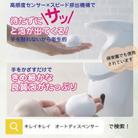 ライオン キレイキレイ 薬用泡ハンドソープ フルーツミックスの香り 詰め替え 業務用2L 1個 【泡タイプ】（直送品）