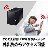 NAS（ネットワークハードディスク）12TB 2ドライブ リンクステーション HDD LS220D1202G 1台 バッファロー（直送品）