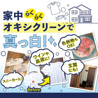 オキシクリーンEX 詰め替え 2000g  粉末 酸素系漂白剤 1個 大容量 消臭 漂白 洗濯 掃除