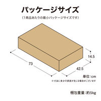 タカショー 美WOODデッキ 2段ステップ ナチュラルウッド BEW-2SNW 1台