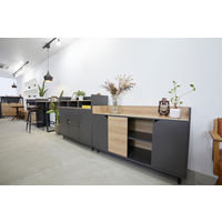 【軒先渡し】SMILE CORP RITZY HORN ストレージ 幅1200×奥行450×高850mm アッシュオーク 720036 1台（直送品）