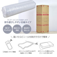 【軒先渡し】友澤木工 木製プレインベッド ヘッドレス マット付 幅970×奥行1950×高さ290mm クラシックホワイト×ホワイト 1台（直送品）