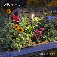 タカショー ひかりノベーション SC 花のひかり LGS-LH02P 1箱(2個入)（直送品）