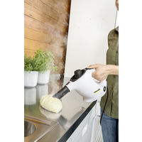 ケルヒャー スチームクリーナー SC 1 MINI 1.516-451.0 1台