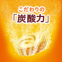 花王 バブ 発泡入浴剤 5つの香りアソートセット 100錠