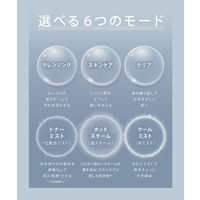 SALONIA（サロニア） ピュアブライトスチーマー ベージュ フェイススチーマー 美顔器 ハリ ツヤ  I-ne