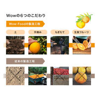 Wow-food株式会社 Wow Orchardコールドプレスストレートブラッドオレンジ 419973 1ケース 215ml×24本（直送品）