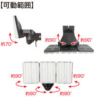 大進 人感 センサーライト コンセント 屋外 LED 防雨 DLA-17T300 1セット（1台×2）（直送品）