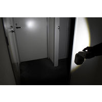 大進 充電 センサーライト アラーム 屋外 LED 防雨 DLC-2T100AR 1セット（1台×2）（直送品）