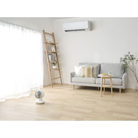 アイリスオーヤマ DCサーキュアイ上下左右自動全分解 PCFーBD15TECーW 1台