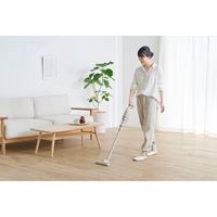 アイリスオーヤマ 充電式サイクロンスティッククリーナー SCD-220-HC グレージュ 1台