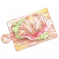 ノリスカラー 色鉛筆 紙ケース入り 24色セット C24PB ステッドラー