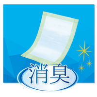 【新パッケージのお届け】アスクル×エルモアいちばん　フラットタイプ　フラットシート　オムツ　フラット300ml 1パック オリジナル