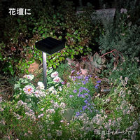 タカショー ひかりノベーション SC 花のひかり LGS-LH02P 1箱(2個入)（直送品）