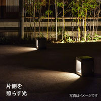 タカショー ひかりノベーション SC 道のひかり LGS-LH01P 1箱(2個入)（直送品）