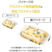 大王製紙 トイレのおそうじシート 12枚入 香りのお試しセット 1セット（ミント＋オレンジ各2個）【ファスナー付き】（寄付金付き） オリジナル