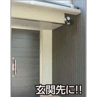 大進 人感 センサーライト AC コンセント 屋外 LED 防雨 DLA-N4T200 1セット（1台×2）（直送品）