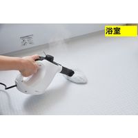 ケルヒャー スチームクリーナー SC MINI 1.516-339.0 1台 KARCHER