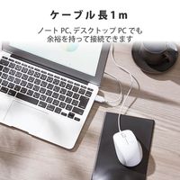 マウス 有線マウス 静音マウス 3ボタン ブルーLED 抗菌仕様 Mサイズ ホワイト M-BL27UBSKWH エレコム 1個（直送品）