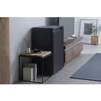 アイリスオーヤマ 奥行スリム冷凍庫 66L IUSN-7A-B 1台