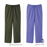フォーク PANTONE（パントン） メンズストレートパンツ アルティメットグレー 5018SC-75-3L 1枚（直送品）