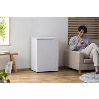 アイリスオーヤマ 奥行スリム冷凍庫 66L IUSN-7A-W 1台