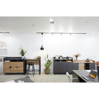 【軒先渡し】SMILE CORP RITZY HORN ストレージ 幅1200×奥行450×高850mm アッシュオーク 720036 1台（直送品）