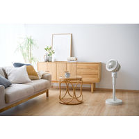 アイリスオーヤマ DCサーキュレーター扇風機E型 STFーDC15TECーW 1台