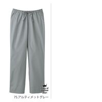 フォーク PANTONE（パントン） メンズストレートパンツ アルティメットグレー 5018SC-75-3L 1枚（直送品）