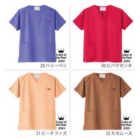 フォーク PANTONE(パントン) スクラブ（男女兼用） エメラルド M 7000SC 1枚