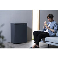 アイリスオーヤマ 奥行スリム冷凍庫 66L IUSN-7A-B 1台