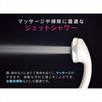 カクダイ ガオナ シャワーヘッドとホースのセット 5段切替 節水 マッサージ 掃除 リフレッシュ ボッシーニ GA-FH004 1個（直送品）