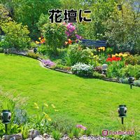 comcon ダブル超音波 猫よけ 猫除け 対策 動物 撃退器 野良猫 ソーラー CV-200 1セット（1台×2）（直送品）