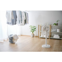 アイリスオーヤマ DCサーキュレーター扇風機E型 STFーDC15TECーW 1台