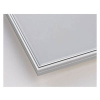 ポスターフレーム A2サイズ 軽量アルミ製 DSパネル 12枚 シルバー 1000012563 アートプリントジャパン