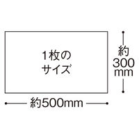 からだふき　ドライタオル【からだふき/ドライ】三昭紙業　介護用タオル「おもいやり心」徳用　1パック（120枚入）