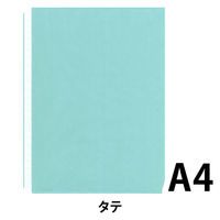 プラス　リフィール　1ポケット　87695　業パ　1箱（500枚：100枚入×5袋）
